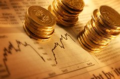 新手交易必看：外汇平台资金安全保障指南