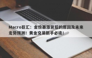 Macro巨汇：金价暴涨背后的原因及未来走势预测！黄金交易新手必读！