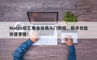Macro巨汇黄金交易入门教程，新手也能快速掌握！