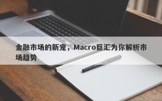 金融市场的新宠，Macro巨汇为你解析市场趋势
