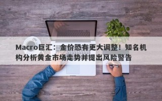 Macro巨汇：金价恐有更大调整！知名机构分析黄金市场走势并提出风险警告