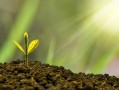 Macro巨匯：全球金融市场的技术枢纽