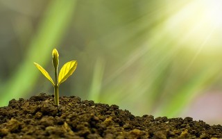Macro巨匯：全球金融市场的技术枢纽