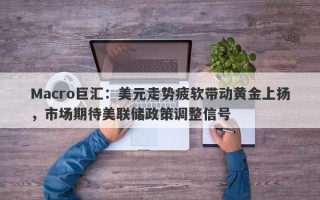 Macro巨汇：美元走势疲软带动黄金上扬，市场期待美联储政策调整信号