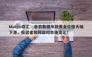 Macro巨汇：非农数据导致黄金价格大幅下滑，投资者如何应对市场变化？