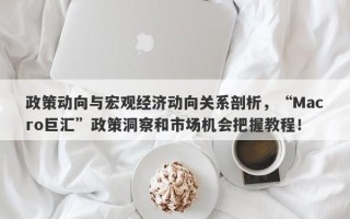 政策动向与宏观经济动向关系剖析，“Macro巨汇”政策洞察和市场机会把握教程！