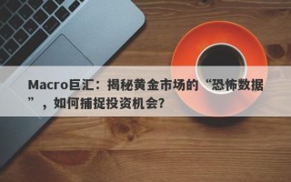 Macro巨汇：揭秘黄金市场的“恐怖数据”，如何捕捉投资机会？