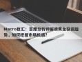 Macro巨汇：首席分析师解读黄金投资趋势，如何把握市场机遇？