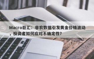 Macro巨汇：非农数据引发黄金价格波动，投资者如何应对不确定性？