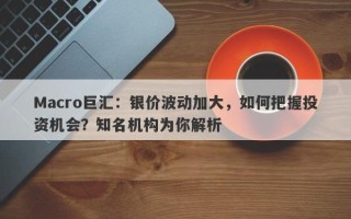 Macro巨汇：银价波动加大，如何把握投资机会？知名机构为你解析