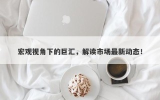 宏观视角下的巨汇，解读市场最新动态！