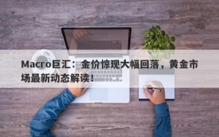 Macro巨汇：金价惊现大幅回落，黄金市场最新动态解读！