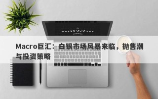 Macro巨汇：白银市场风暴来临，抛售潮与投资策略