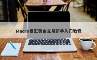 Macro巨汇黄金交易新手入门教程