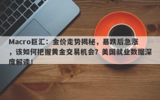 Macro巨汇：金价走势揭秘，暴跌后急涨，该如何把握黄金交易机会？美国就业数据深度解读！