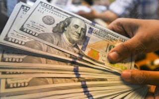 macro markets巨汇：越来越多的基金经理押注美元已经见顶