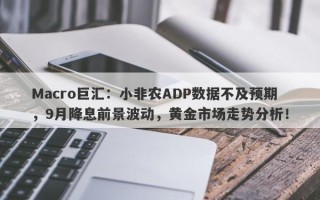 Macro巨汇：小非农ADP数据不及预期，9月降息前景波动，黄金市场走势分析！