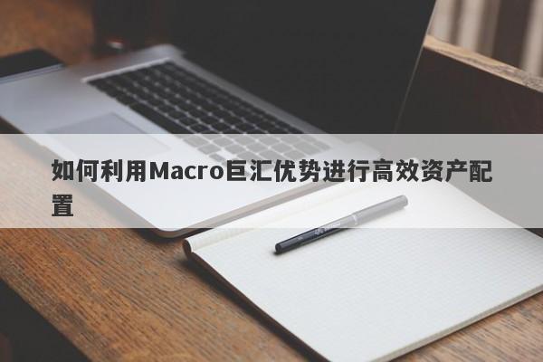 如何利用Macro巨汇优势进行高效资产配置-第1张图片-Macro Global Markets巨汇
