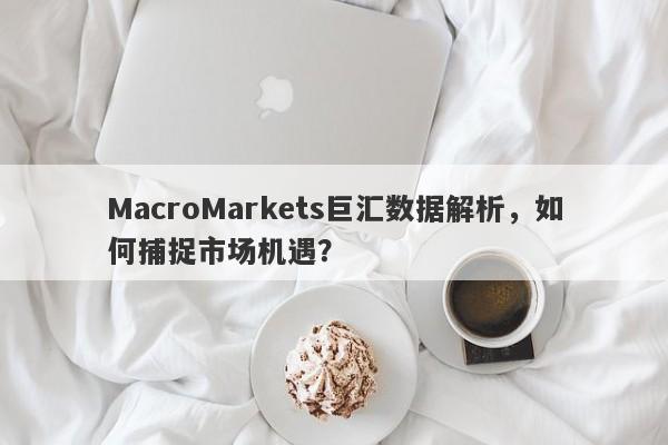 MacroMarkets巨汇数据解析，如何捕捉市场机遇？-第1张图片-Macro Global Markets巨汇