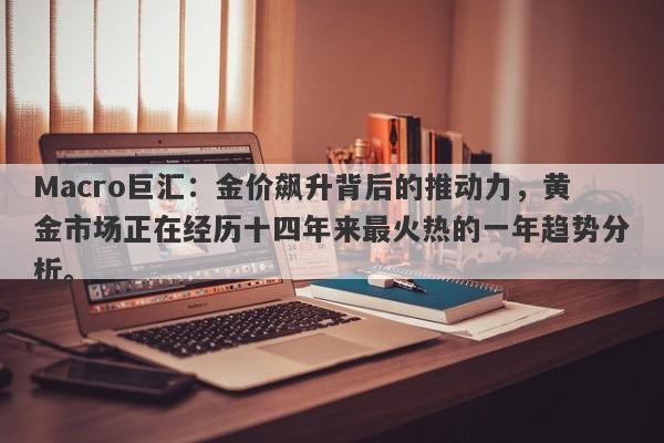 Macro巨汇：金价飙升背后的推动力，黄金市场正在经历十四年来最火热的一年趋势分析。-第1张图片-Macro Global Markets巨汇