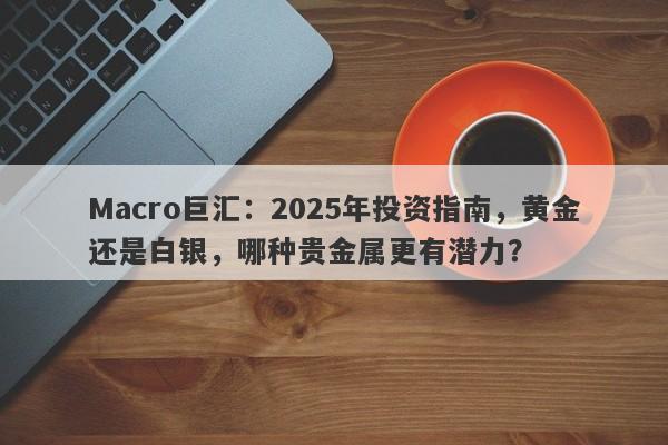 Macro巨汇：2025年投资指南，黄金还是白银，哪种贵金属更有潜力？-第1张图片-Macro Global Markets巨汇
