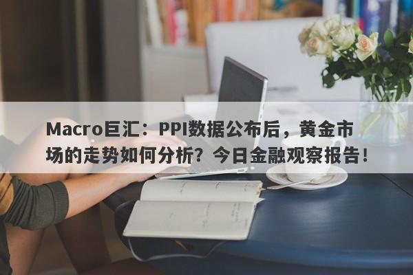 Macro巨汇：PPI数据公布后，黄金市场的走势如何分析？今日金融观察报告！-第1张图片-Macro Global Markets巨汇