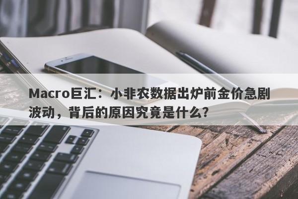 Macro巨汇：小非农数据出炉前金价急剧波动，背后的原因究竟是什么？-第1张图片-Macro Global Markets巨汇