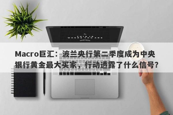 Macro巨汇：波兰央行第二季度成为中央银行黄金最大买家，行动透露了什么信号？-第1张图片-Macro Global Markets巨汇