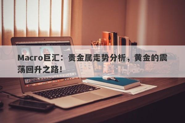 Macro巨汇：贵金属走势分析，黄金的震荡回升之路！-第1张图片-Macro Global Markets巨汇