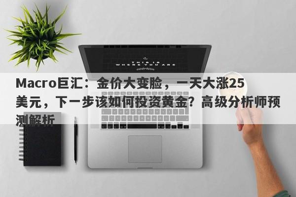 Macro巨汇：金价大变脸，一天大涨25美元，下一步该如何投资黄金？高级分析师预测解析-第1张图片-Macro Global Markets巨汇