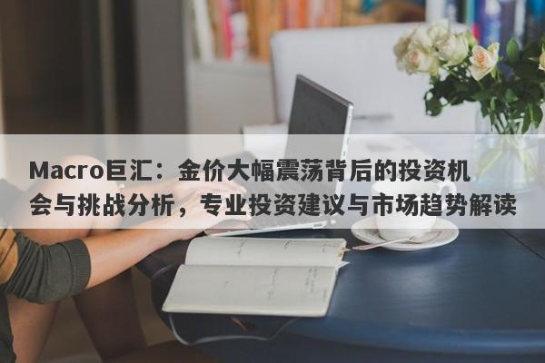 Macro巨汇：金价大幅震荡背后的投资机会与挑战分析，专业投资建议与市场趋势解读-第1张图片-Macro Global Markets巨汇