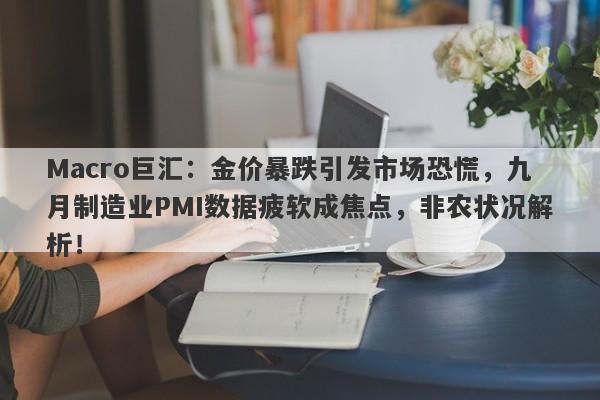 Macro巨汇：金价暴跌引发市场恐慌，九月制造业PMI数据疲软成焦点，非农状况解析！-第1张图片-Macro Global Markets巨汇