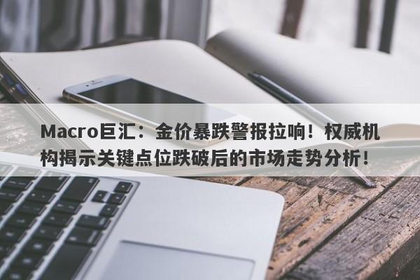 Macro巨汇：金价暴跌警报拉响！权威机构揭示关键点位跌破后的市场走势分析！-第1张图片-Macro Global Markets巨汇