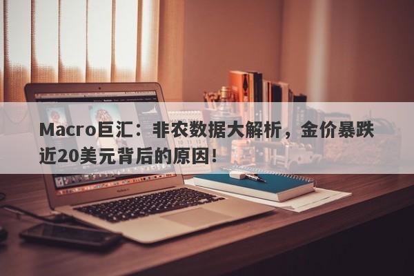 Macro巨汇：非农数据大解析，金价暴跌近20美元背后的原因！-第1张图片-Macro Global Markets巨汇